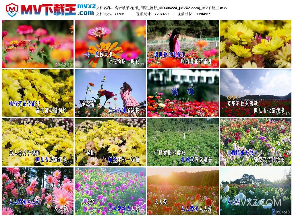 高音敏子-菊颂_国语_流行_MD306224